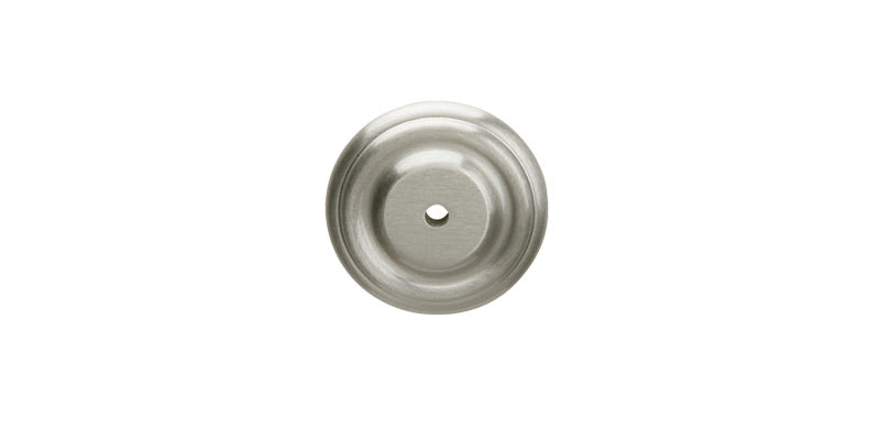 Back Plate 1029301P