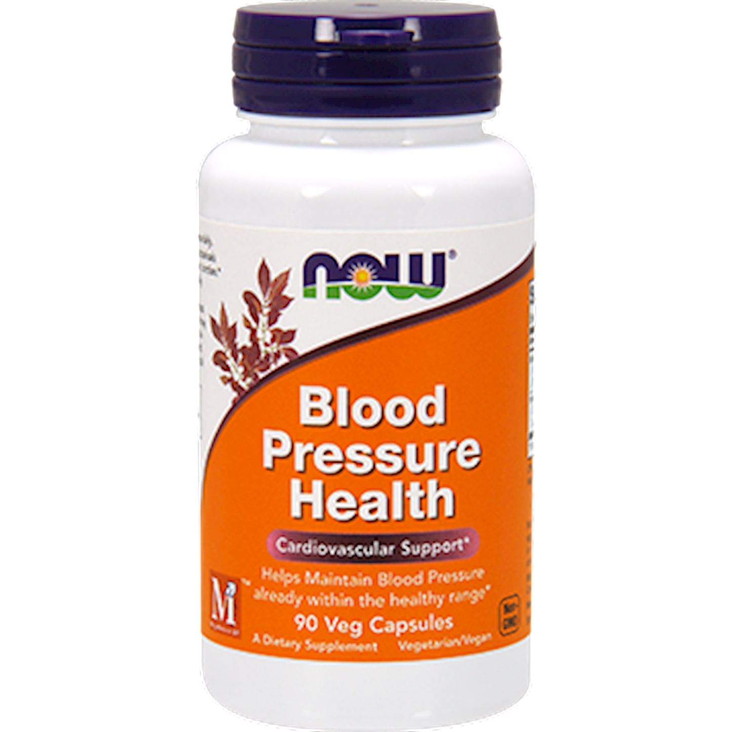 Blood Pressure Health